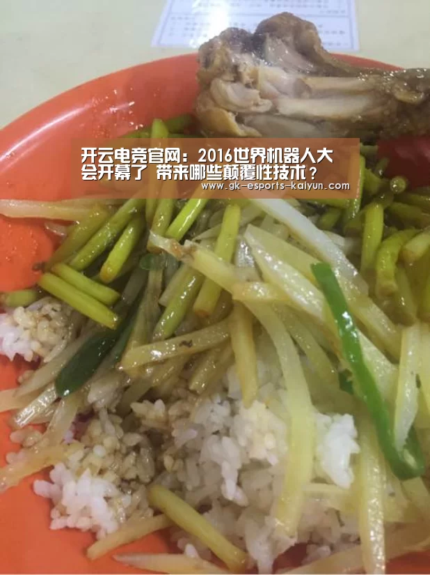 开云电竞官网:2016世界机器人大会开幕了 带来哪些颠覆性技术?(图1) kaiyun电竞