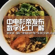 中电杉帝发布数字化工厂解决方案 助力制造业企业智能化升级_ kaiyun电竞(图1) 开云电竞