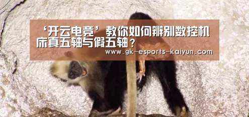 ‘开云电竞’教你如何辨别数控机床真五轴与假五轴?(图2) kaiyun电竞